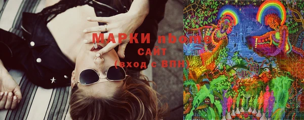 шишки Алзамай