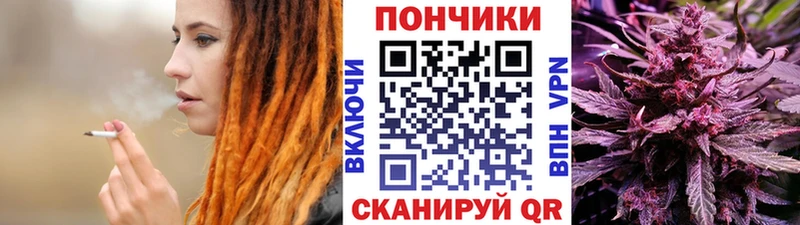 как найти наркотики  Новочеркасск  Каннабис конопля 
